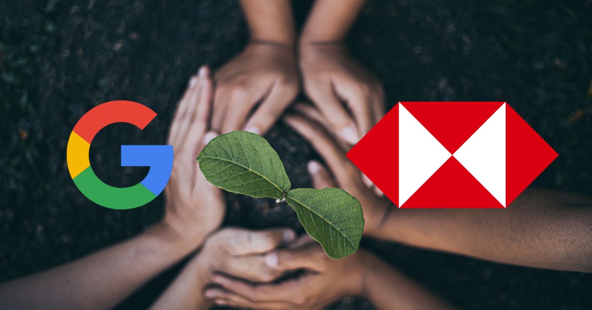 google-and-hsbc-forge-climate-tech-alliance